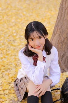 27报动态全图